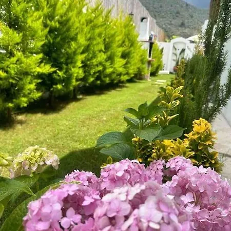 Villa Alp