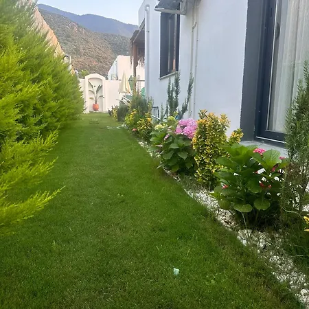 Alp Villa *